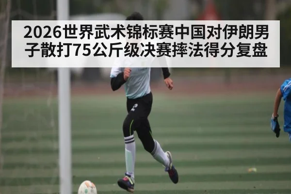 2026世界武术锦标赛中国对伊朗男子散打75公斤级决赛摔法得分复盘