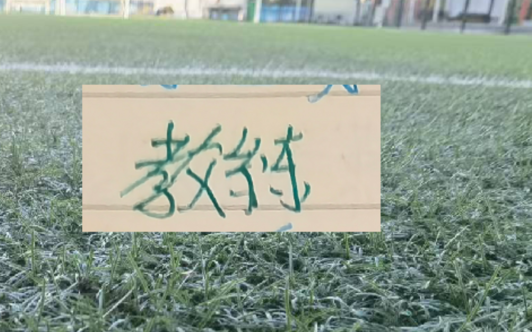 AG体育-2025赛季北京国安的塞蒂恩+拉米罗 算是成功的吗？